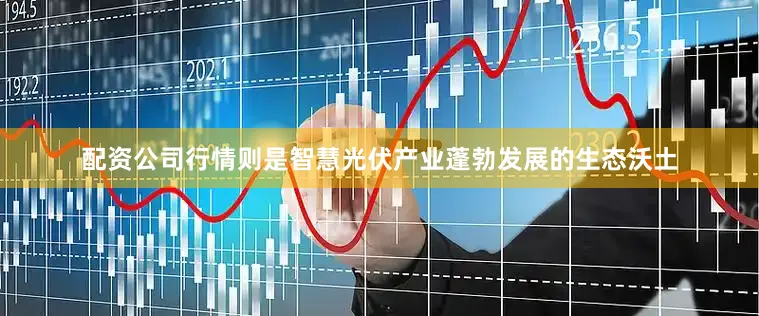配资公司行情则是智慧光伏产业蓬勃发展的生态沃土