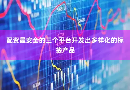 配资最安全的三个平台开发出多样化的标签产品