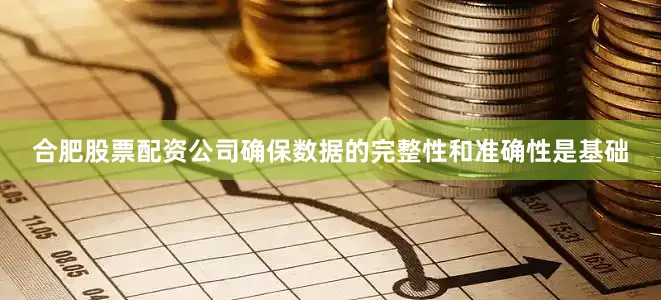合肥股票配资公司确保数据的完整性和准确性是基础