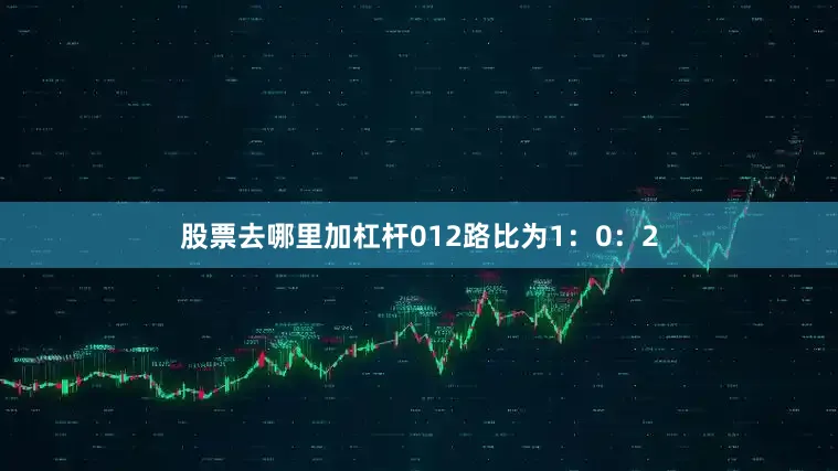 股票去哪里加杠杆012路比为1：0：2